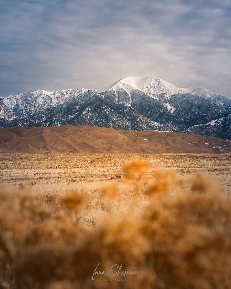 Snow-capped peaks rising behind the Great Sand Dunes, with golden grass blurred in the foreground