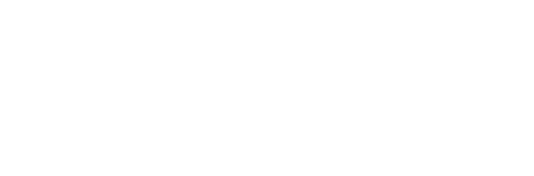 New Elevated Ebikes logo: a small mountain peak above widely spaced ELEVATED lettering, with EBIKES below
