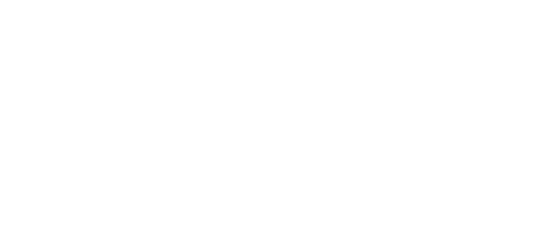 Old Elevated E Bikes logo: a jagged mountain line across heavy italic ELEVATED lettering